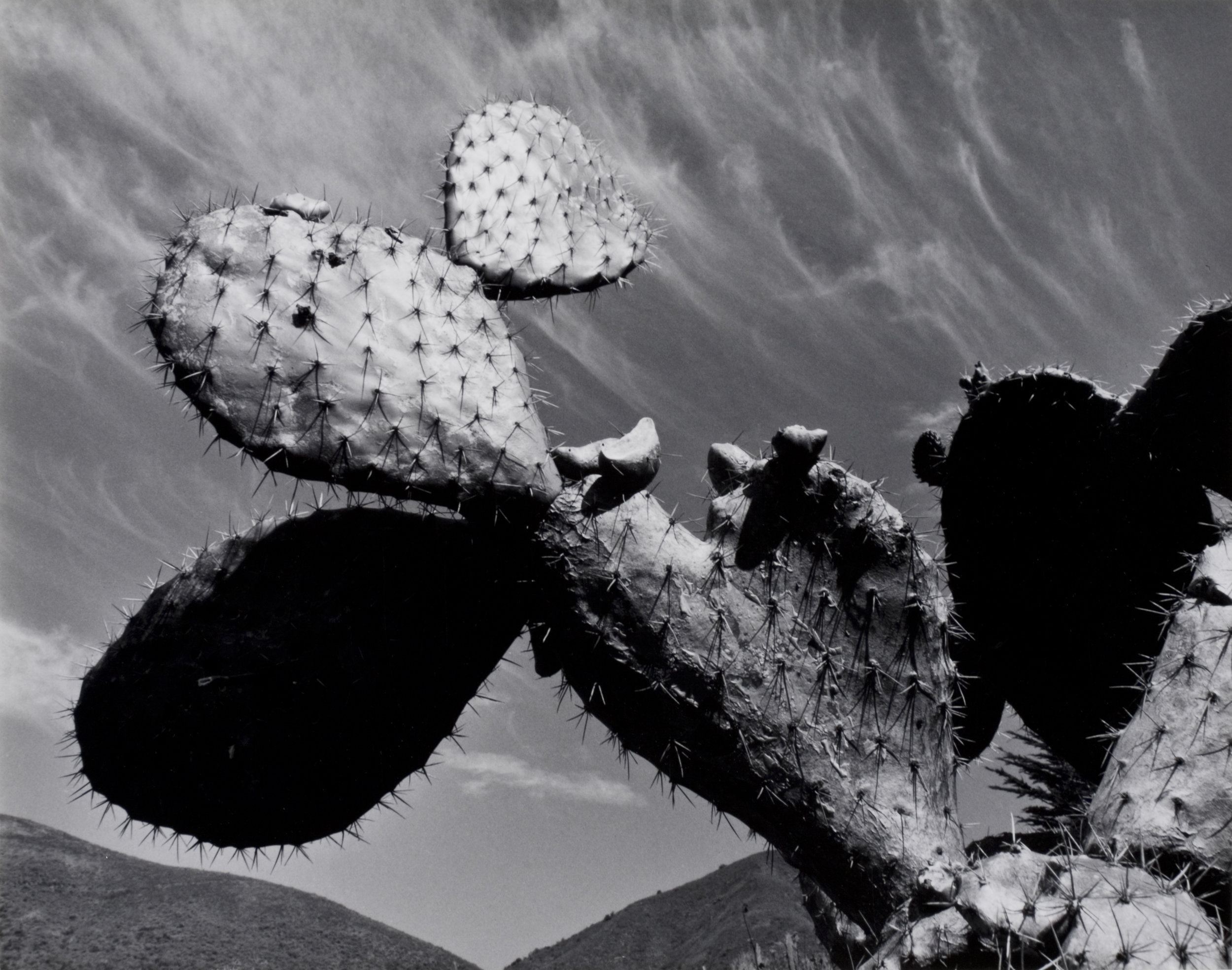 Cactus, CA, 1997.jpg