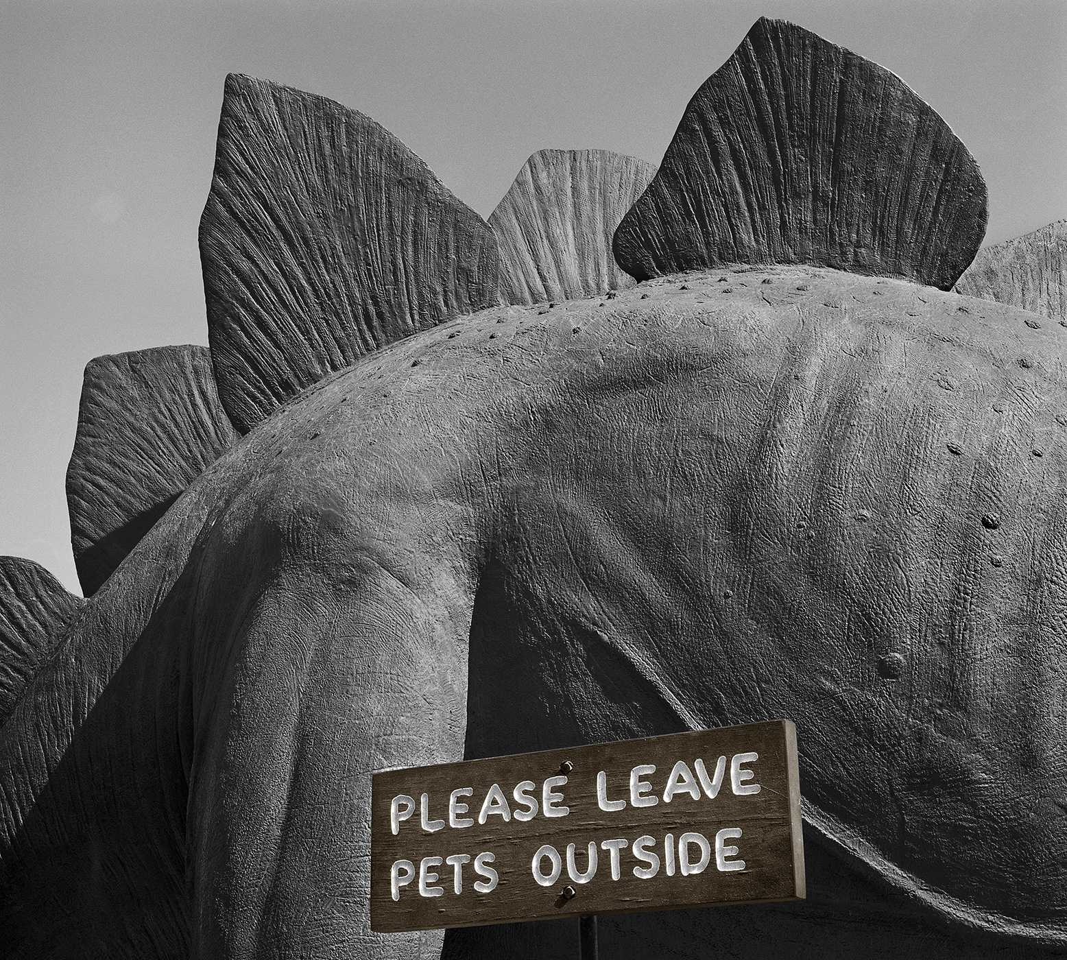 Please Leave Pets Outside, Utah, 1979/2015