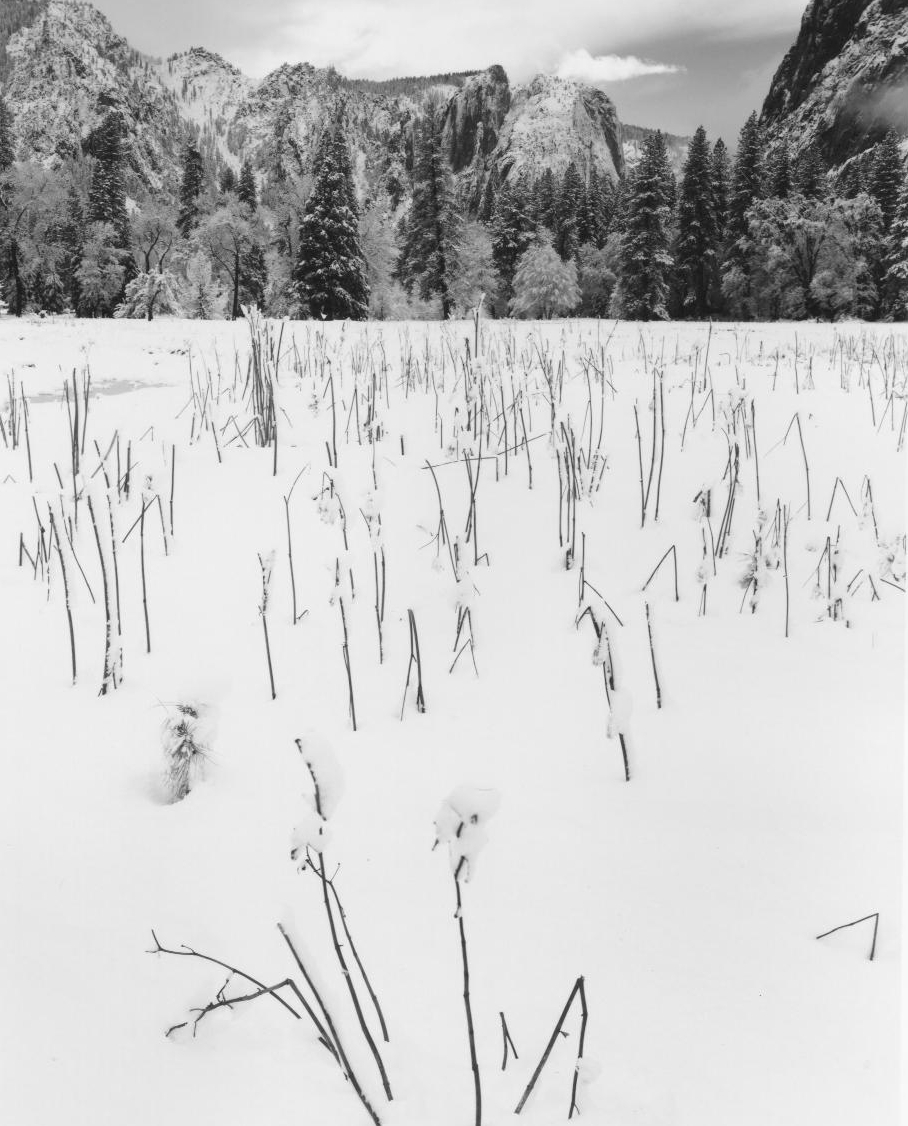 Winter Morning 001.jpg