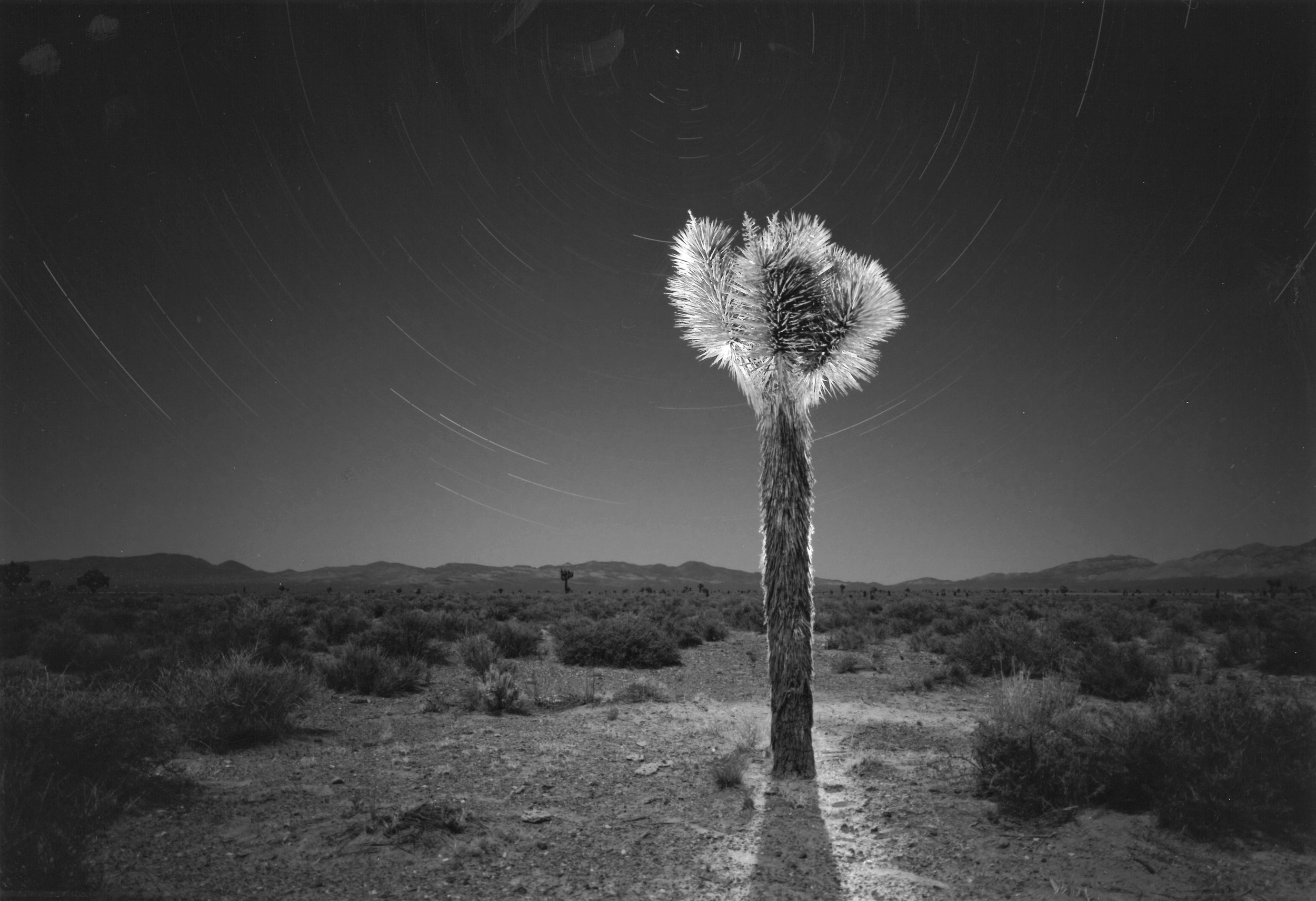Desert Fantasy, NV, 2013